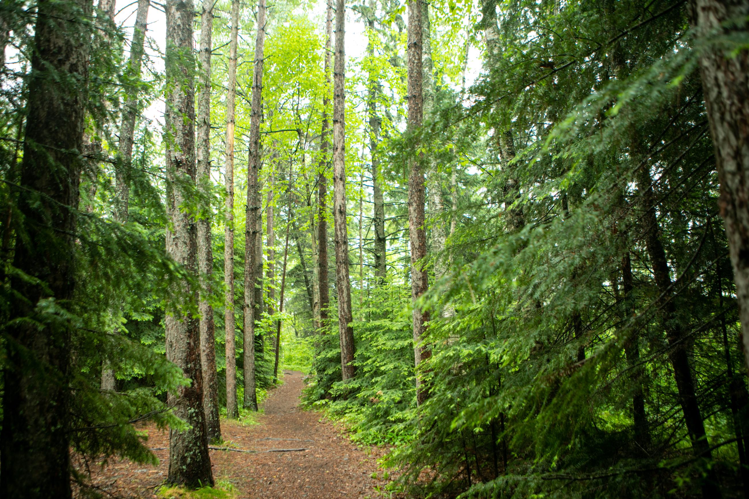 Britton peak outlet trailhead